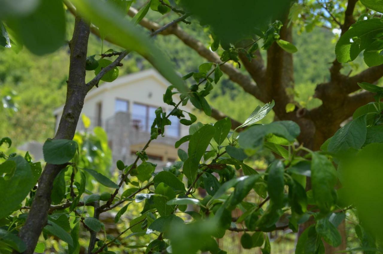 Prevalis Nature Cottage Virpazar Eksteriør bilde